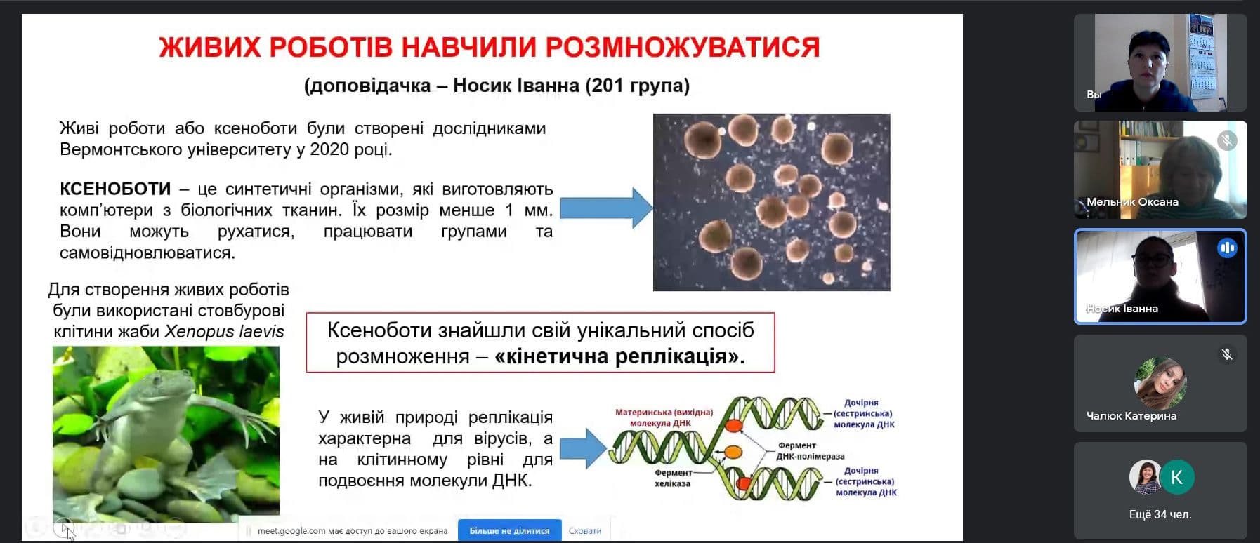 Біологічний калейдоскоп