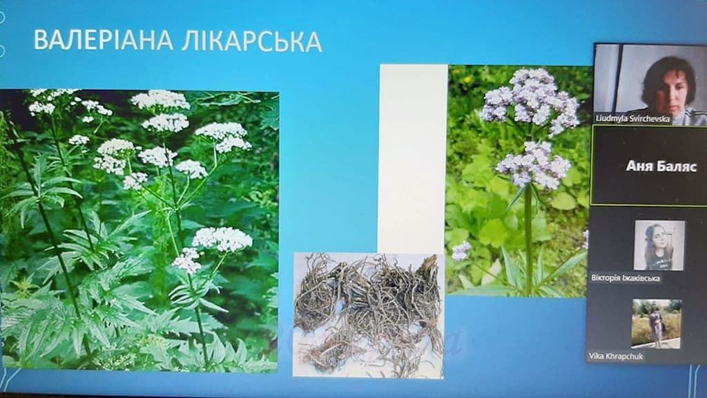 Фармакогностична практика