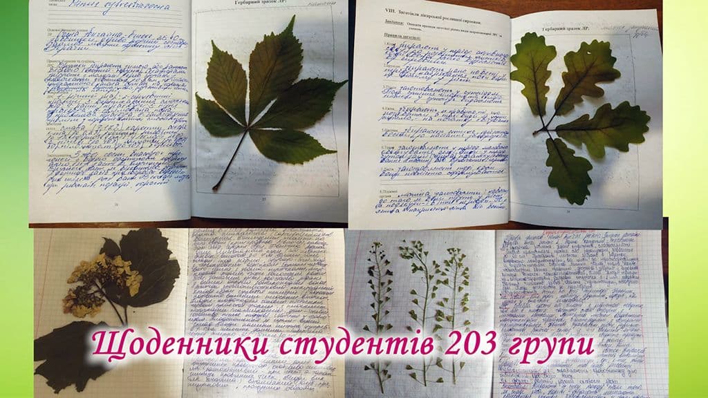 Фармакогностична практика