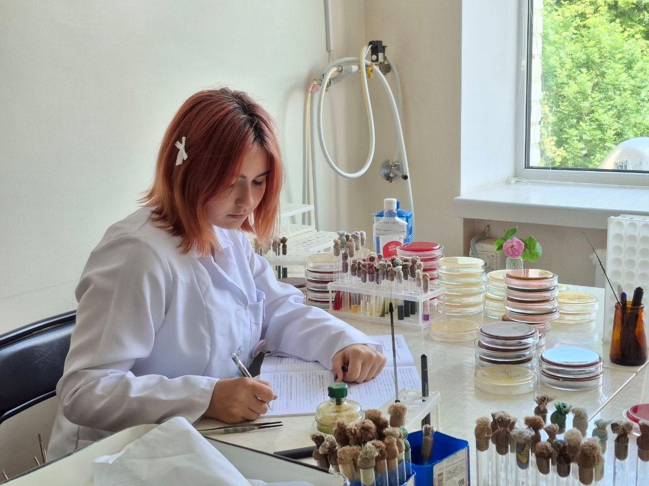 Виробнича та переддипломна практика здобувачів освіти ОПП «Лабораторна діагностика»