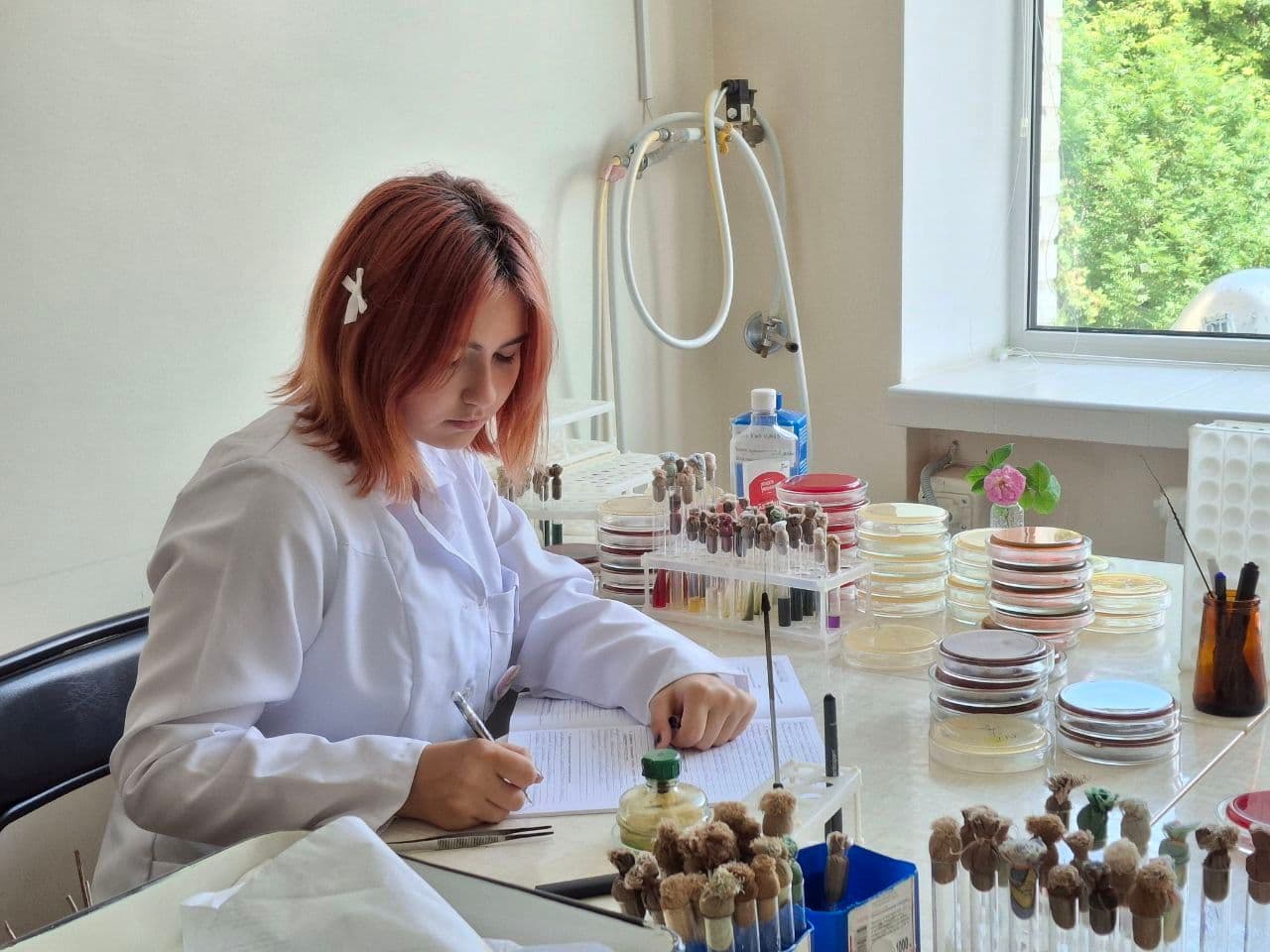Виробнича та переддипломна практика здобувачів освіти ОПП «Лабораторна діагностика»
